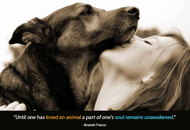 Loving pet sitters in Westmoreland County say "Until one has loved an animal, a part of one's soul remains unawakened."