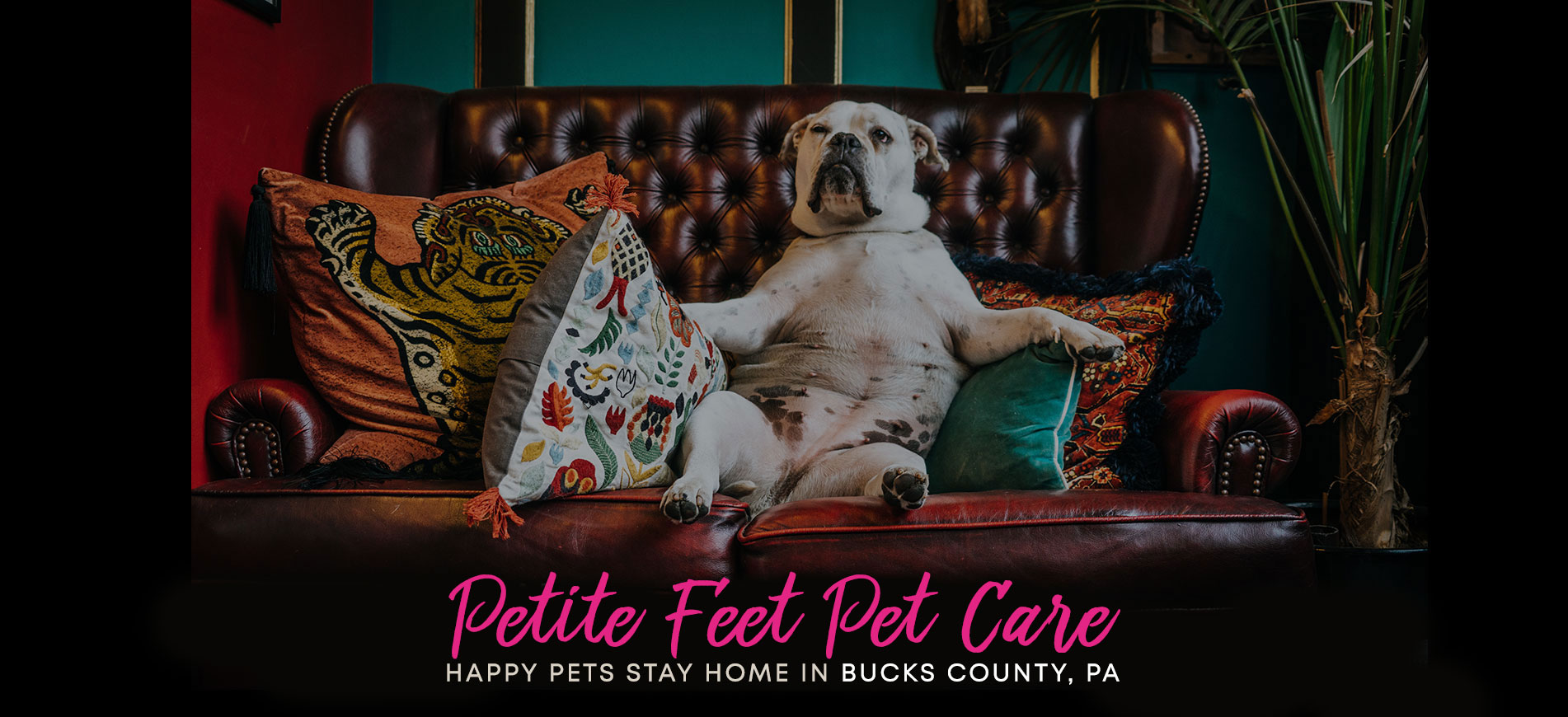 Bucks County Pet Sitting, Dog Walking & Pet Nanny Services