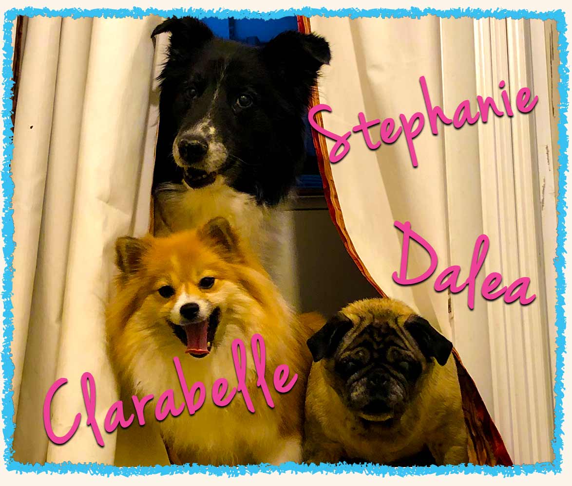 Stephanie, Clarabelle, and Dalea at home during overnight dog sitting in Greensburg
