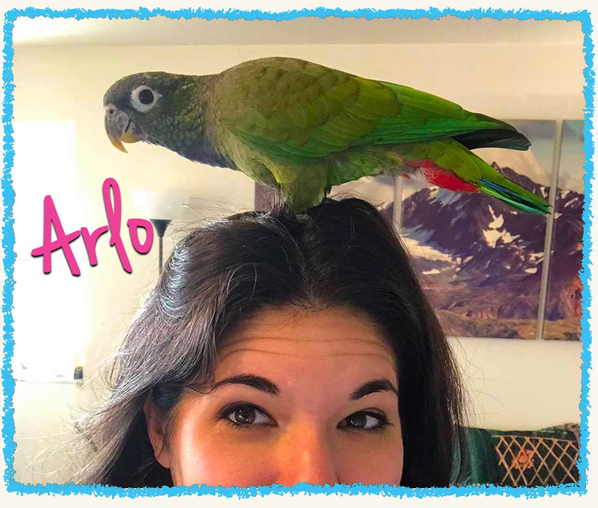 Greensburg bird sitting visit with Arlo the parrot