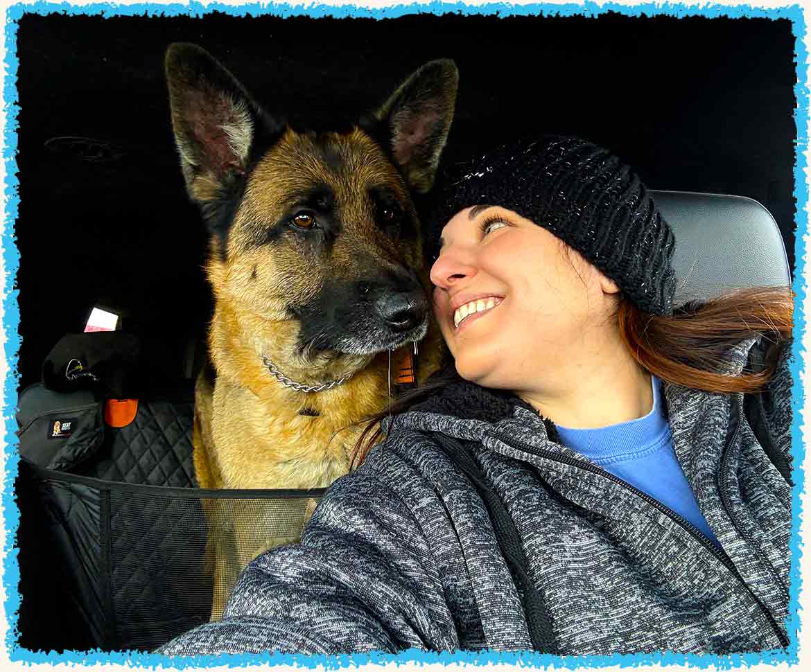 Beansie in the backseat on his road trip to his Pittsburgh dog vacation
