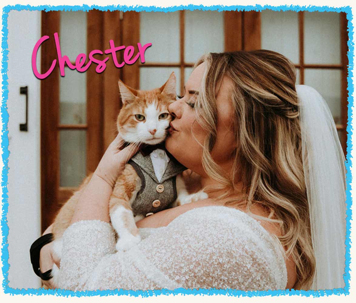 Chester the cat being held by his mom, the bride