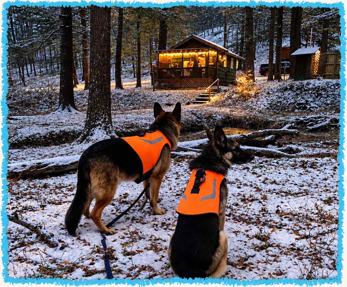 Shepherds arriving at camp
