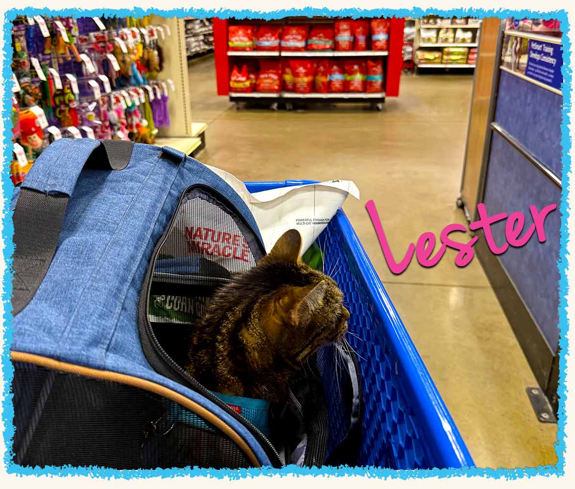Lester shopping in a pet store
