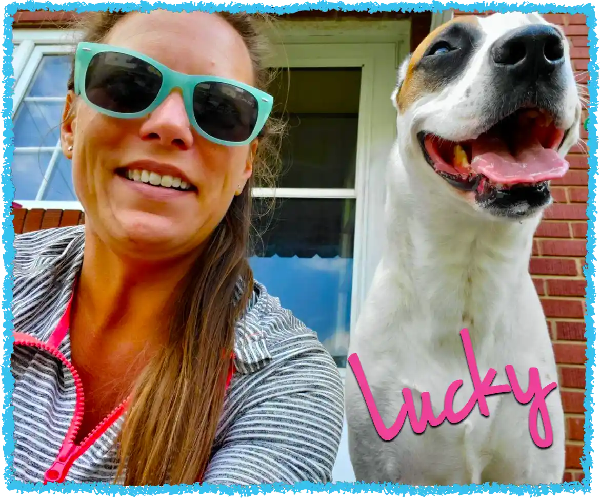 Pet nanny Bridget dog sitting in Westmoreland County