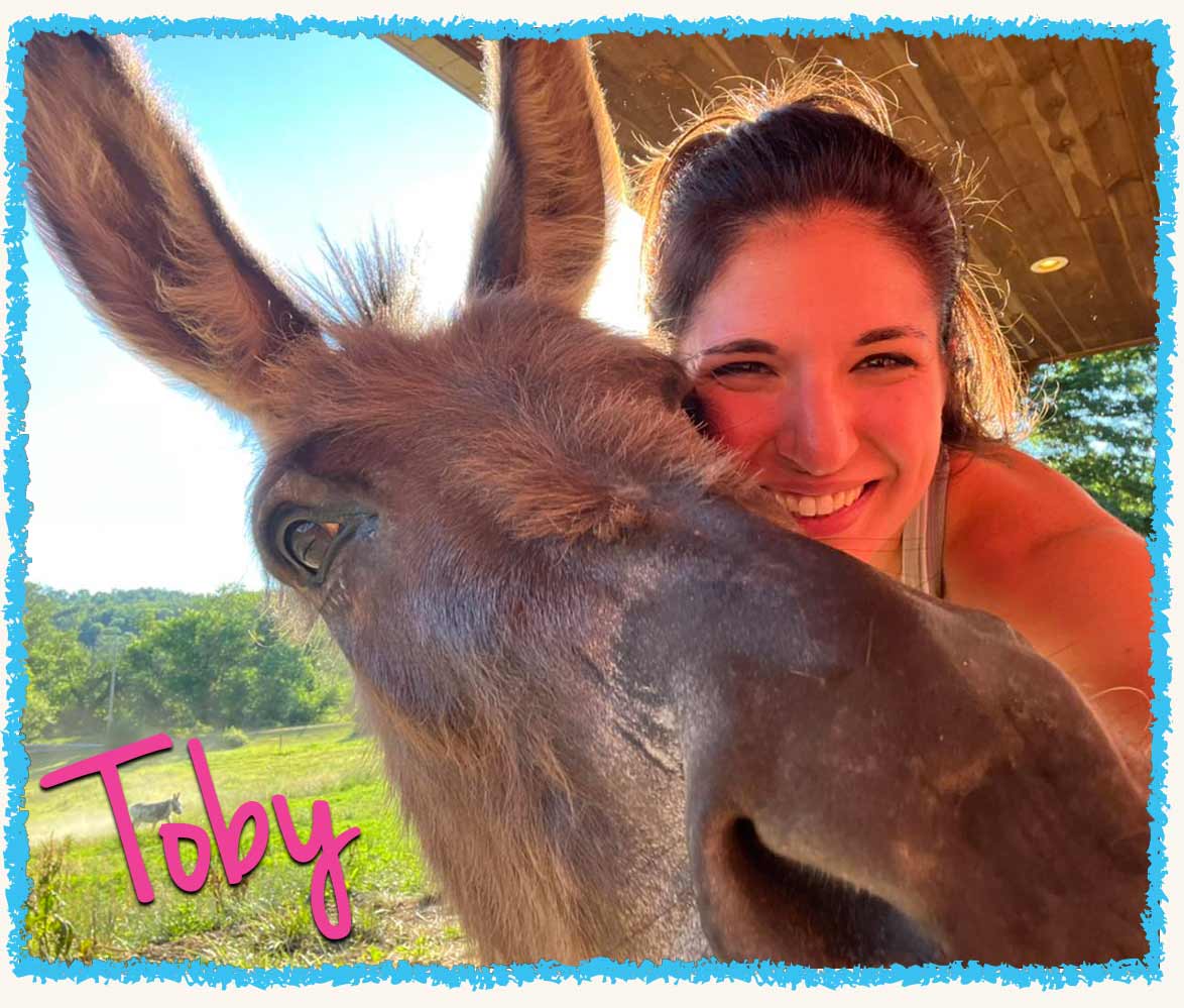 Toby the Donkey with his Farm Sitter