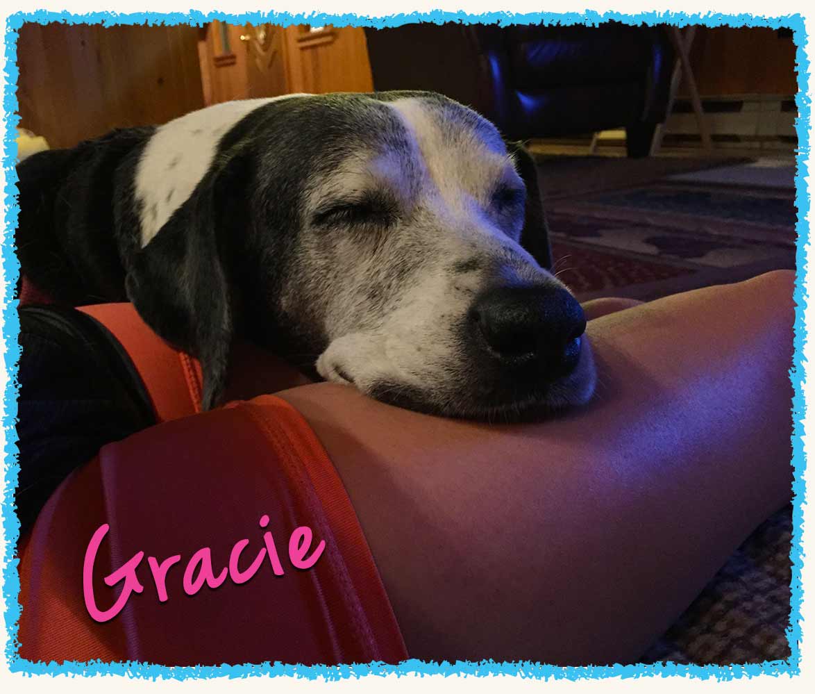 Petite Feet Pet Nanny with a dog during an in-home pet sitting visit in Greensburg
