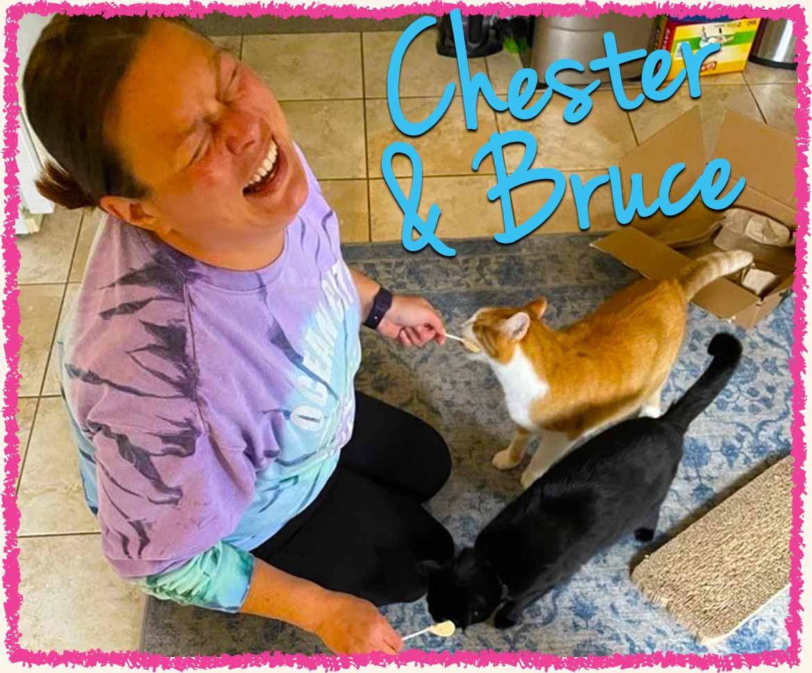 Bridget feeding two cats while laughing