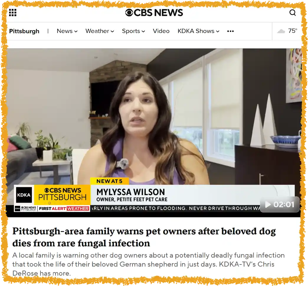 Mylyssa Wilson on CBS News KDKA Pittsburgh about Blastomycosis in Dogs in Pennsylvania
