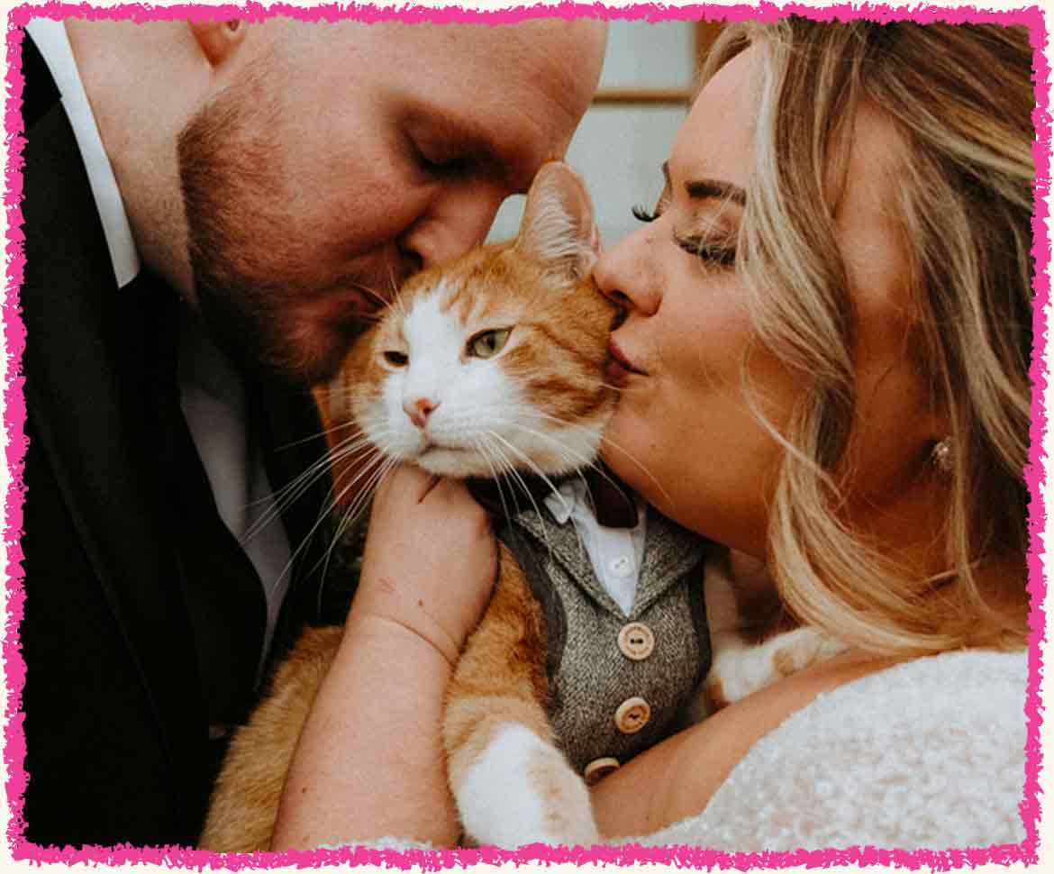 Chester the cat getting kissed by bride and groom at a wedding