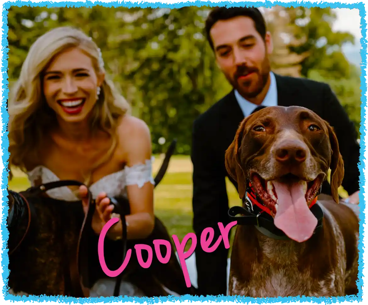 Dogs in weddings in Pittsburgh with two dogs