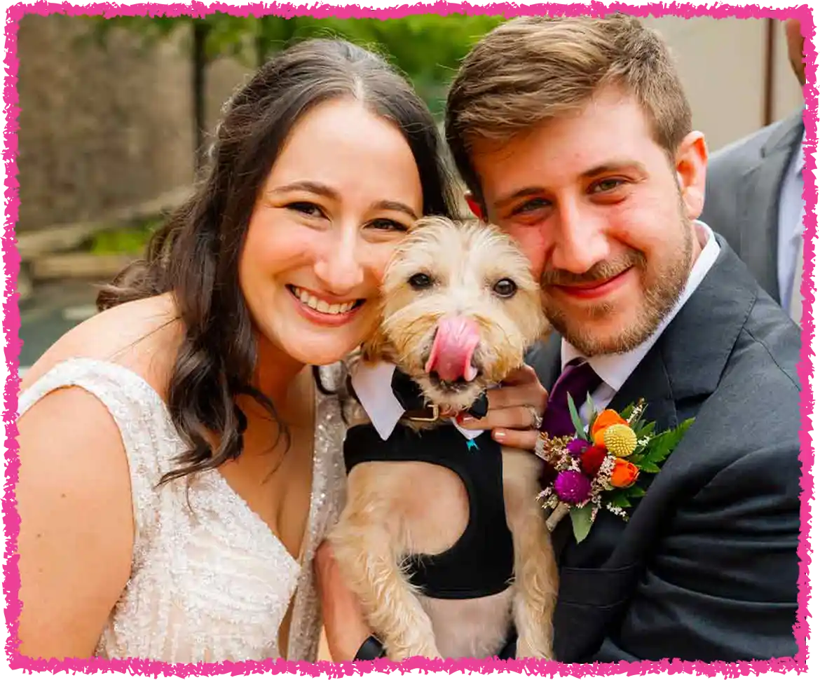 Dogs in wedding photos