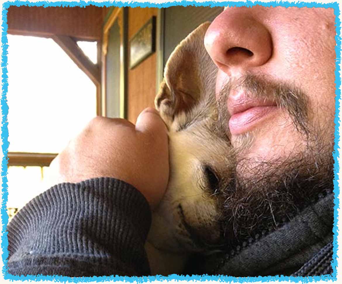 Lace cuddling a Chihuahua