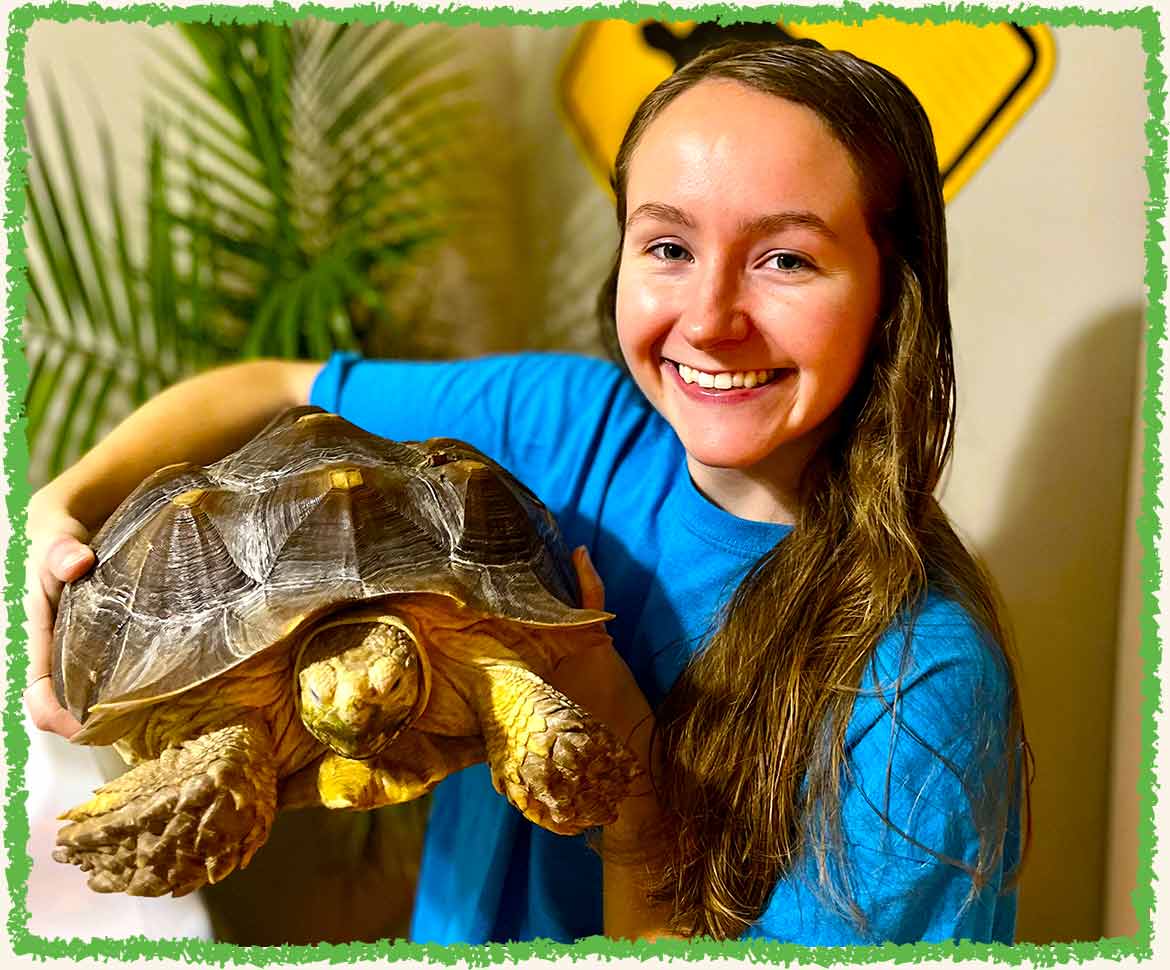 Livy and Turtle