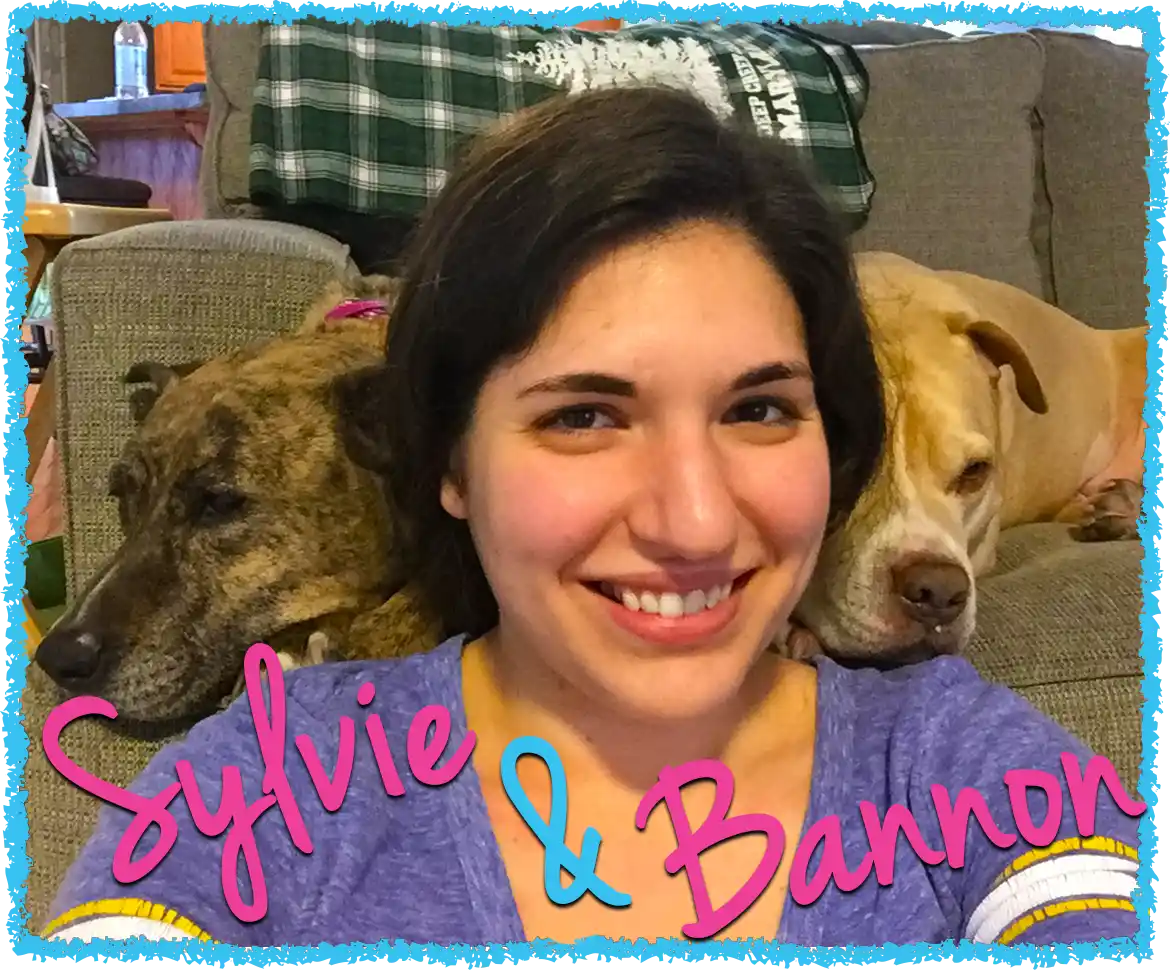 Two Pitbulls cuddling with their long term pet sitter