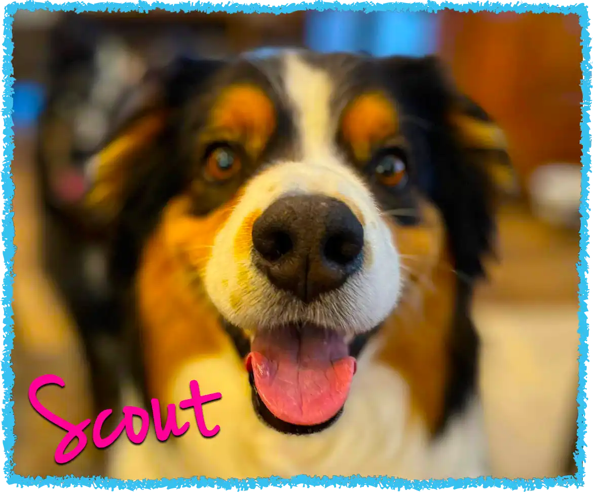 Scout posing for camera