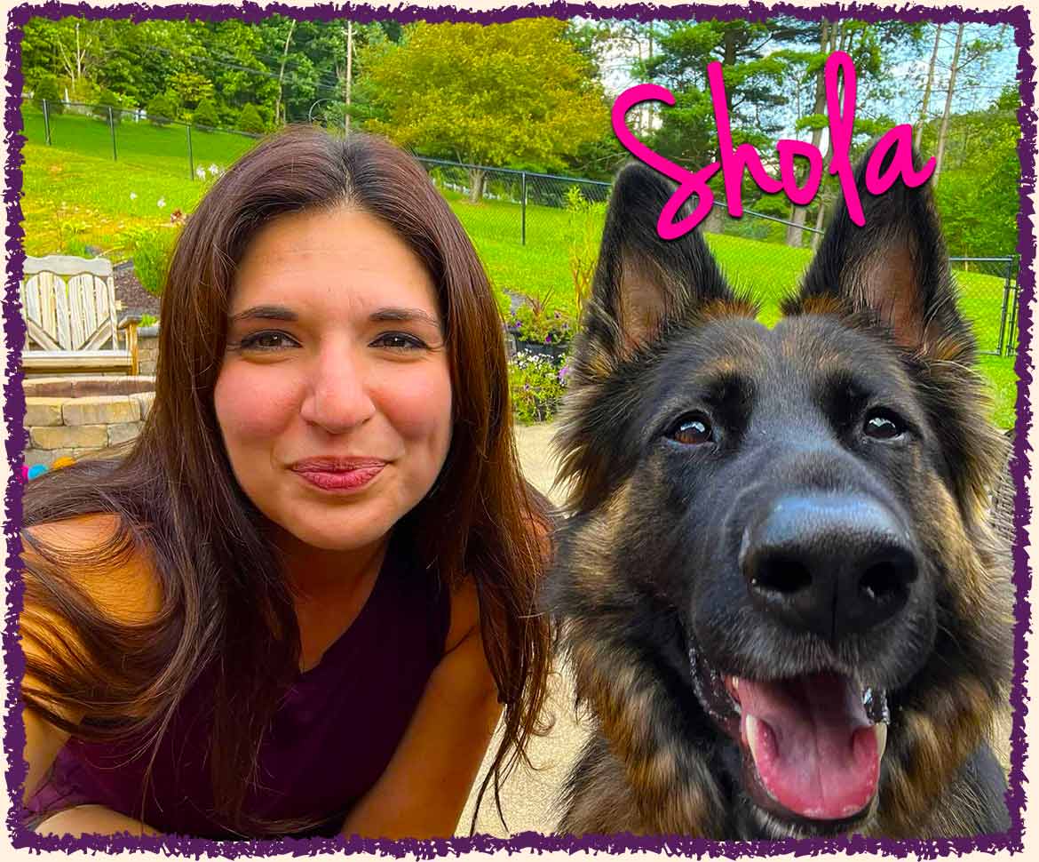Long haired German Shepard with Greensburg Dog Sitters
