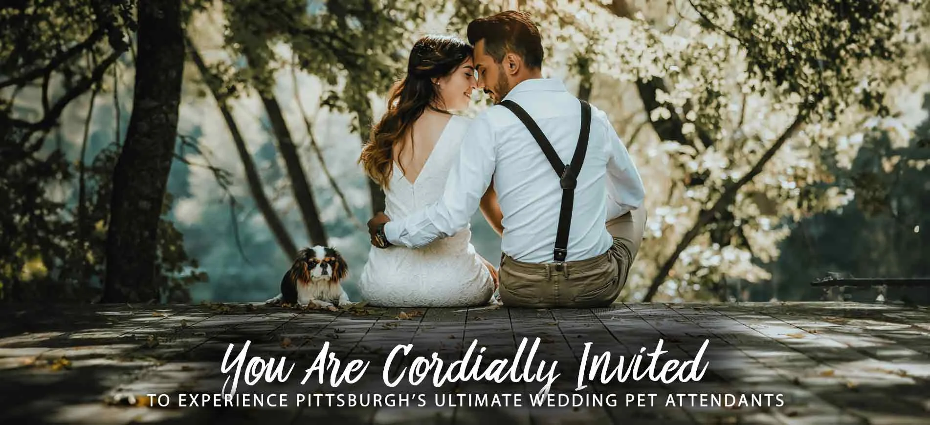 PIttsburgh Wedding Pet Attendants serving Westmoreland and Greensburg